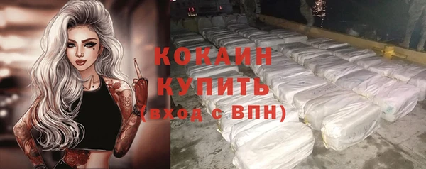 меф Пересвет