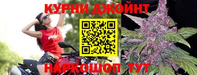 гидра Тула
