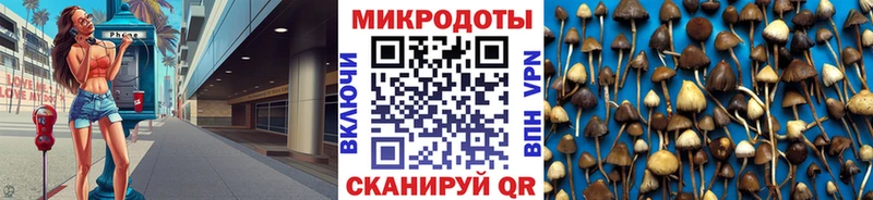 Галлюциногенные грибы мухоморы Муром