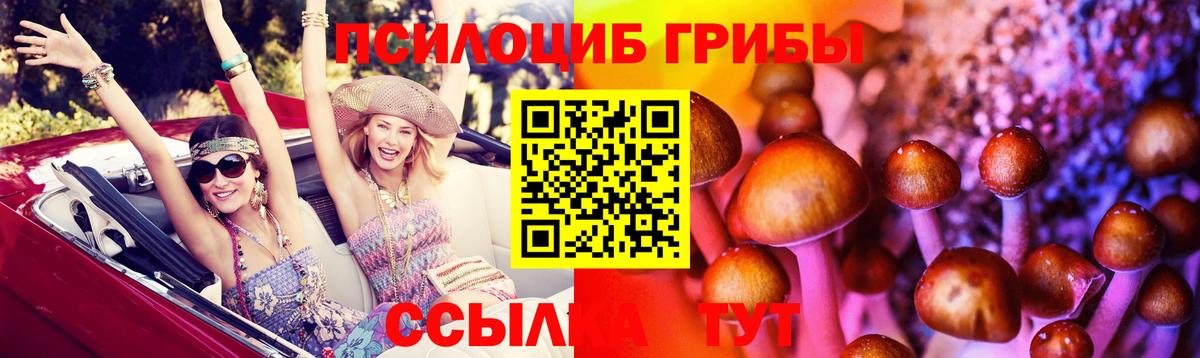Псилоцибиновые грибы Cubensis  Вход с VPN  Псилоцибиновые грибы Psilocybe  Муром 