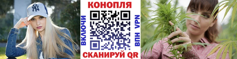 Бошки Шишки OG Kush  купить закладку  Муром 